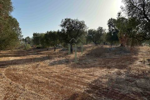 Helårsgrund i Carovigno, Brindisi, Carovigno - € 50.000 | Ref: Sierri VistaMar - foto 6